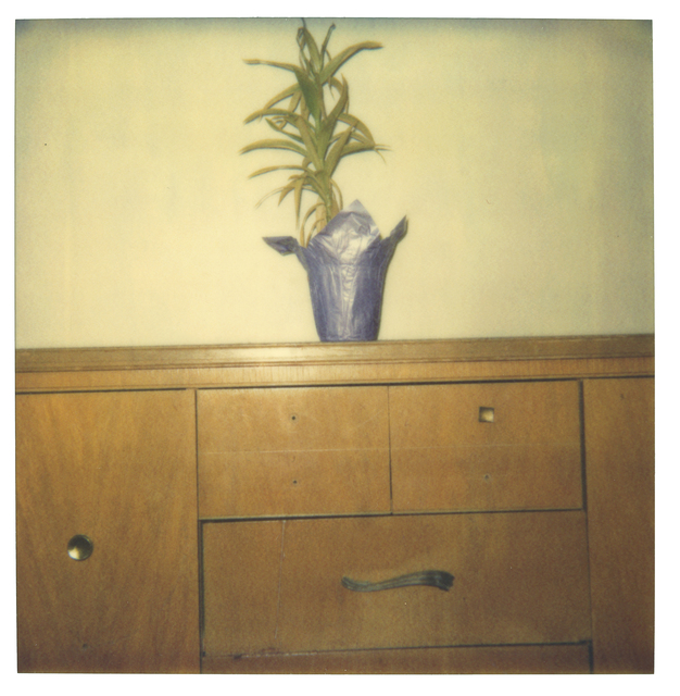 Stefanie Schneider, ‘Lonely Plant on Cupboard’, 1999, Photography, Digital C-Print based on a Polaroid, not mounted, Instantdreams