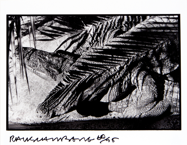 Robert Rauschenberg, ‘Untitled, Ft. Myer’, 1991, Reis Studios