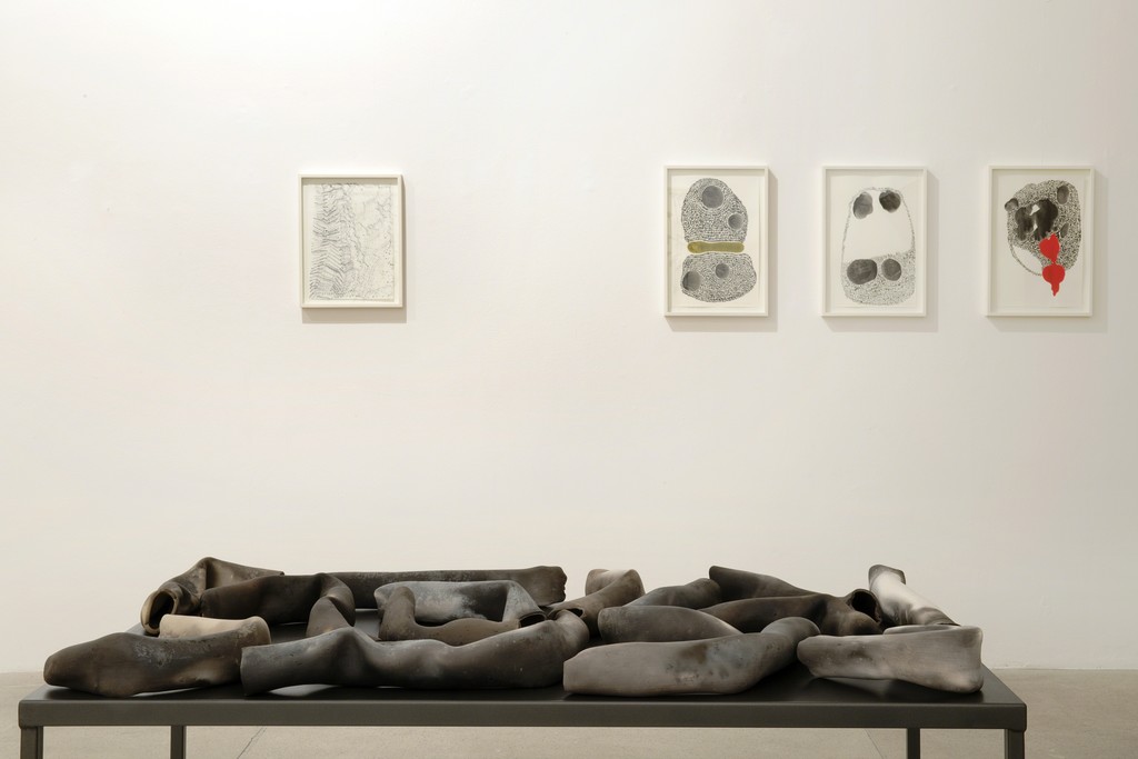 Installation view: Anna Maria Maiolino's exhibition, 2015
via A. Stradella 7, Milano Installation view: Anna Maria Maiolino's exhibition, 2015
via A. Stradella 7, Milano