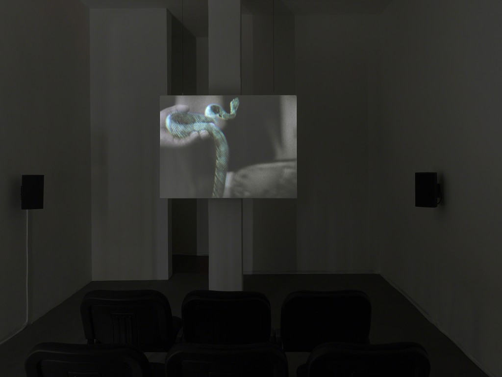 Courtesy by the artist; KÖNIG GALERIE, Berlin; CAPRI; Photo by Achim Kukulies Courtesy by the artist; KÖNIG GALERIE, Berlin; CAPRI; Photo by Achim Kukulies