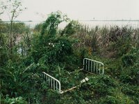 Venice, Louisiana (from 'Sleeping by the Mississippi')