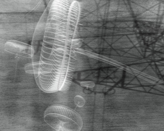 Katja Davar, ‘Shells on Mountain Tops’, 2006, Video/Film/Animation, Animation, black and white, silent, Kadel Willborn