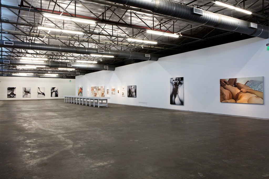 Black Sheep Feminism. Installation view, Dallas Contemporary, 2016. Photo: Kevin Todora Black Sheep Feminism. Installation view, Dallas Contemporary, 2016. Photo: Kevin Todora