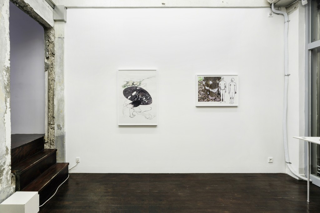 Installation view: Fahrettin Örenli, Nature of Me, P21 (28 February–31 March 2018). Courtesy P21. Installation view: Fahrettin Örenli, Nature of Me, P21 (28 February–31 March 2018). Courtesy P21.