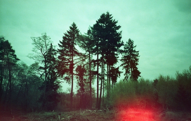 Julia Beyer, ‘Where My Heart Belongs II’, 2017, Photography, Digital C-Print based on a 35mm film photo, Instantdreams