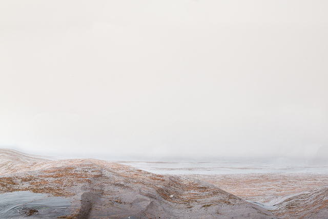 Laura Plageman, ‘Pacific Grove (Study No. 1)’, 2014, Photography, Digital pigment print, De Soto Gallery