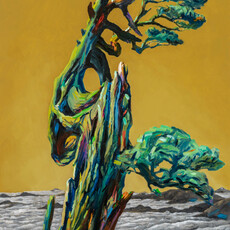 WANG Te-Ho