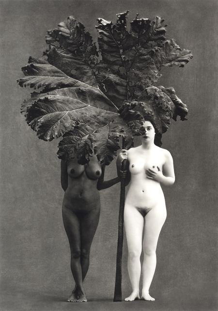 Flor Garduño, ‘Edén, Suiza’, 2001, Photography, Giclee carbon print, DIGARD AUCTION