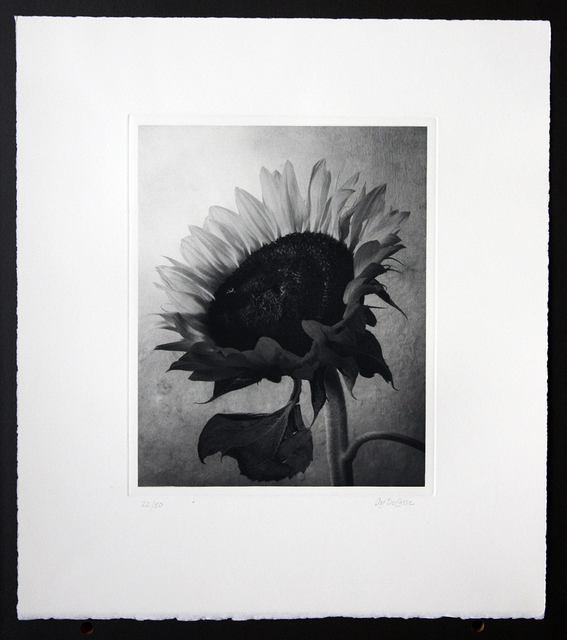 Cy DeCosse, ‘Sunflower’, Kitano Alley Gallery