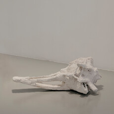 Saray Purto Hoffmann