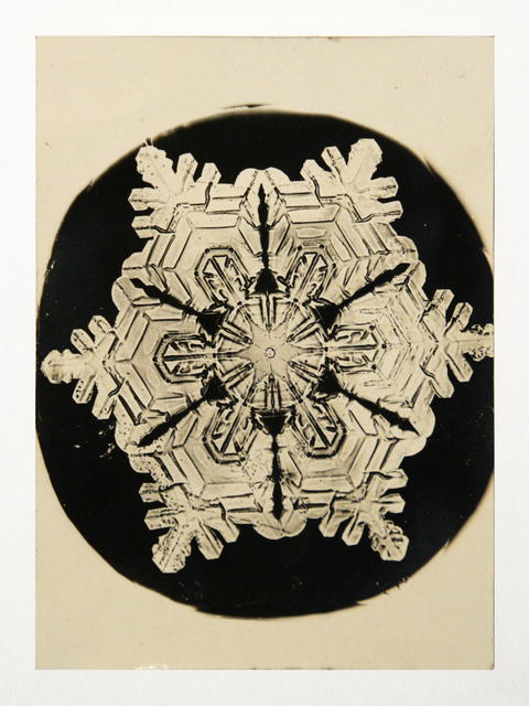 Wilson A. Bentley, ‘Snowflake’, 1888, Richard Levy Gallery