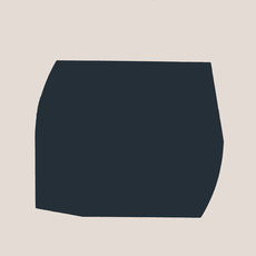 Timothy App