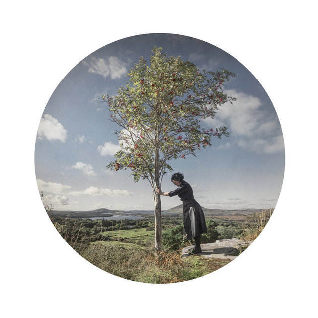 Kahn & Selesnick, ‘Rowan Tree’, Yancey Richardson Gallery