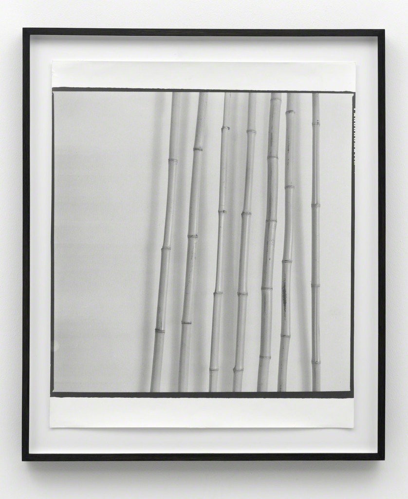 Sigmar Polke
Ohne Titel (Bambus), 1968-1969/1990
Gelatin silver print
Unique
60.5 x 50 cm / 23 3/4 x 19 2/3 in
Framed: 71 x 60 x 4 cm Sigmar Polke
Ohne Titel (Bambus), 1968-1969/1990
Gelatin silver print
Unique
60.5 x 50 cm / 23 3/4 x 19 2/3 in
Framed: 71 x 60 x 4 cm