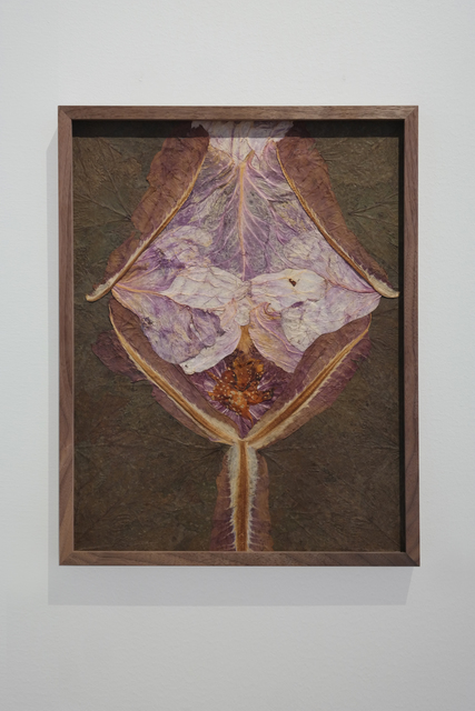 Dit-Cilinn, ‘Amarita ’, 2019, Cecilia Hillström Gallery