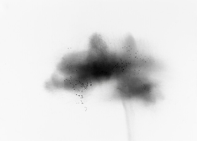 ''Dust'' Series — Çağla Köseoğulları (2023)