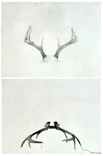 Helen Gerritzen, ‘the hero’s shadow’, 2015, Nicole Longnecker Gallery