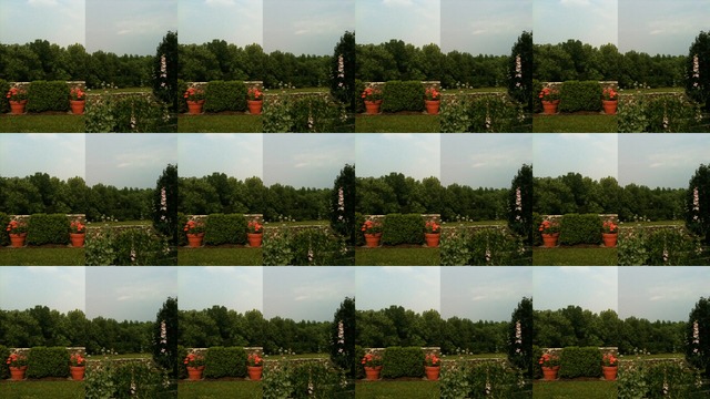 Sara Ludy, ‘Garden’, 2011, bitforms gallery