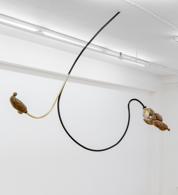 Jennifer Rose Sciarrino, ‘From Root to Lip (Yeast)’, 2018, Projet Pangée