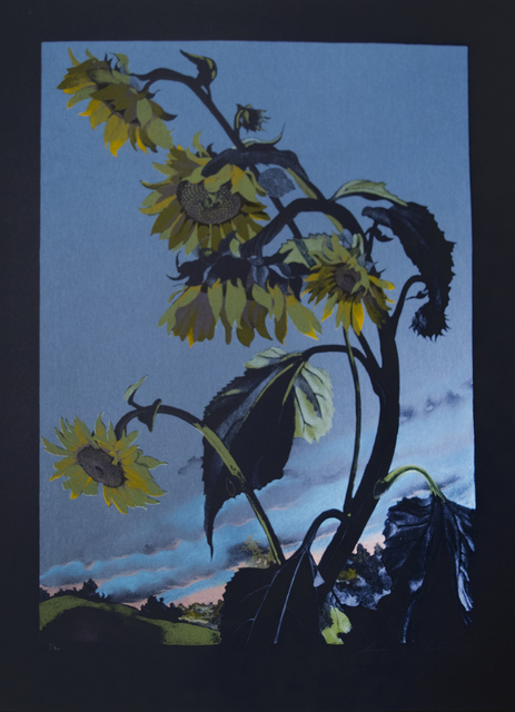 Sondra Freckelton, ‘Sunflowers, State II’, 1990, Brooke Alexander, Inc.