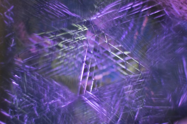 Randee Lynn Pollarine, ‘Complexity Purple’, 2017, Cerbera Gallery