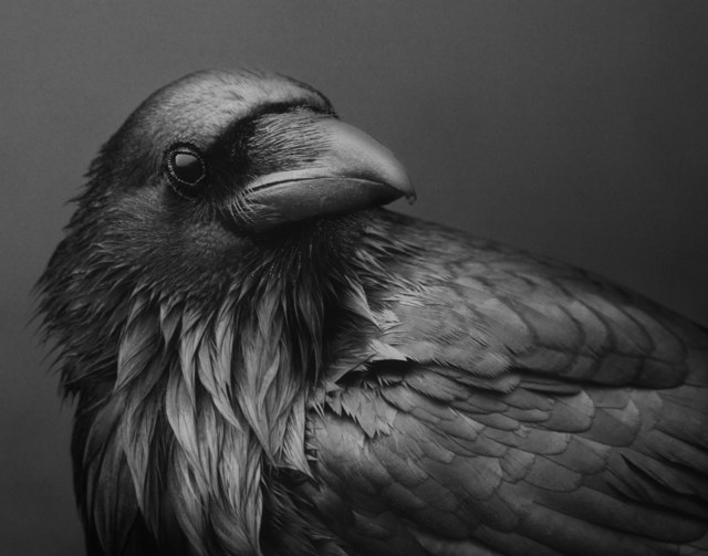 Beth Moon, ‘Odin's Cove #25’, 2012, Vision Neil Folberg Gallery