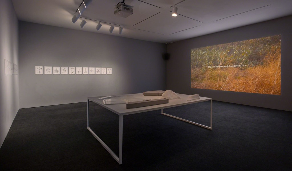 Installation view, Hammer Museum, Los Angeles, September 17, 2016–January 8, 2017. Photo: Brian Forrest
Installation view, Hammer Museum, Los Angeles, September 17, 2016–January 8, 2017. Photo: Brian Forrest