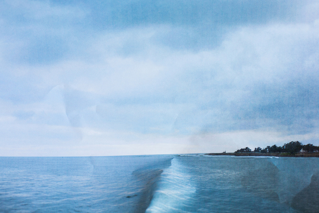 Laura Plageman, ‘Cowells (Study No. 1)’, 2013, Photography, Digital pigment print, De Soto Gallery