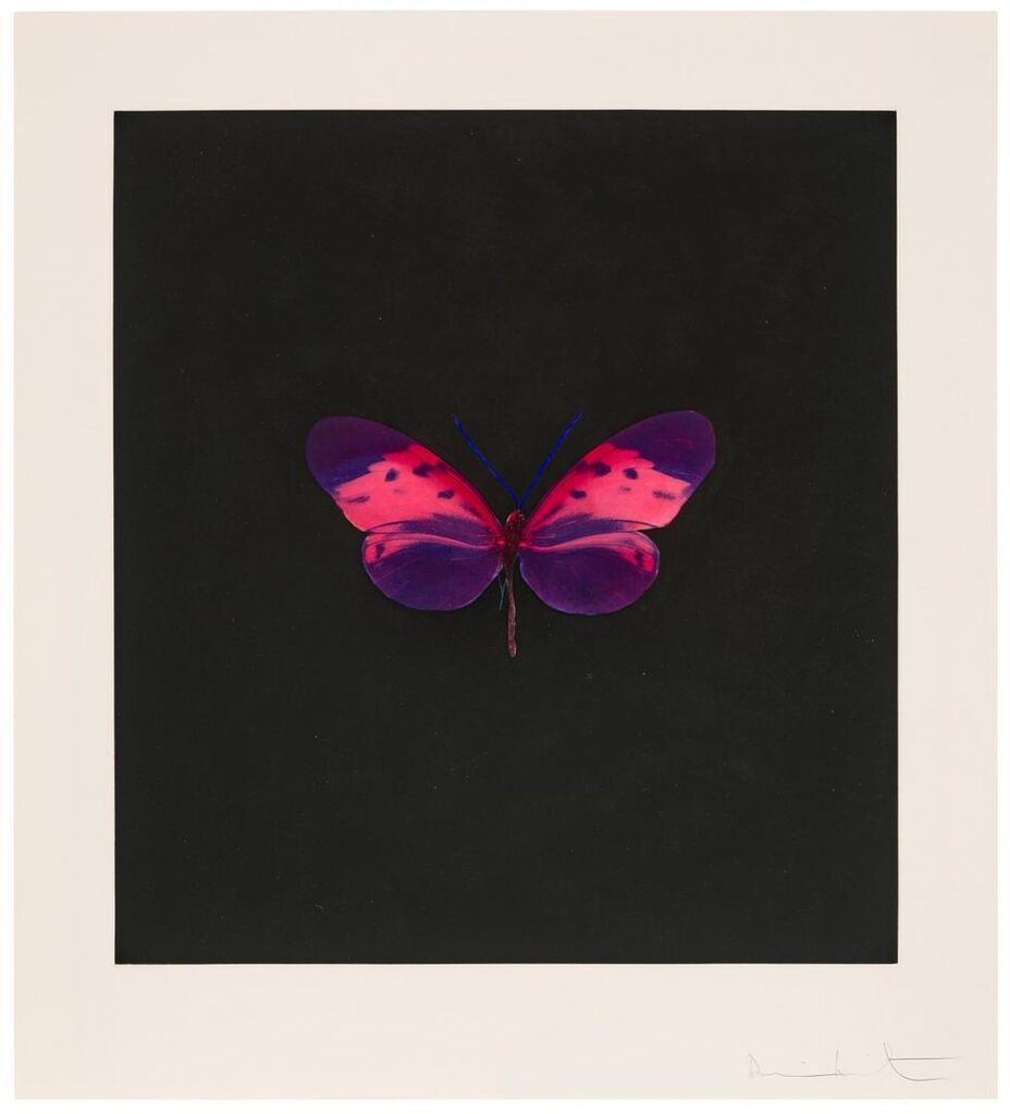 Damien Hirst - Plate 4, from: Memento