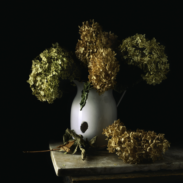 Paul Cary Goldberg, ‘Still Life with Tin Pitcher and Hydrangea’, Pucker Gallery