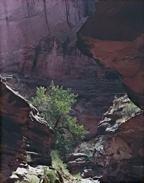 Eliot Porter, ‘Coyote Gulch, Escalante River, Glen Canyon, Utah’, 1980, Heather James Fine Art