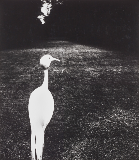 Bill Brandt, ‘Evening in Kew Gardens’, 1932-1935, Phillips