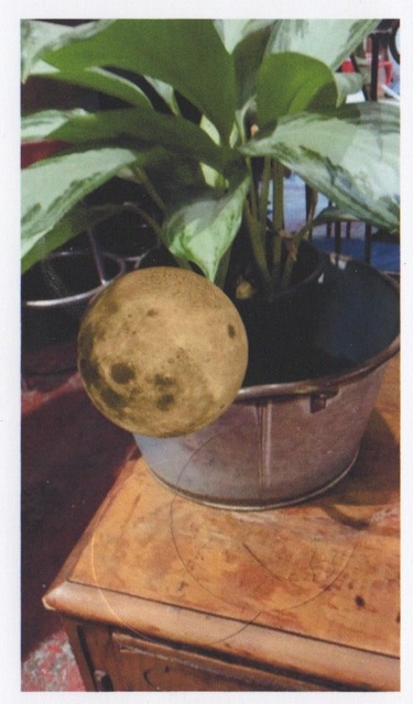 SERKAN ÖZKAYA, ‘MyMoon’, 2015, Postmasters Gallery