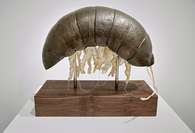 Malia Jensen, ‘Portrait of the Artist as a Young Pill Bug’, 2018, Cristin Tierney