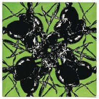Ants