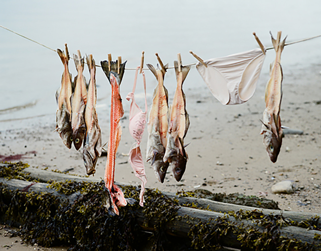 Linda Lieberman, ‘Washing Line ’, 2010, Photography, Colour film onto Hahnemule digital paper, Siger Gallery