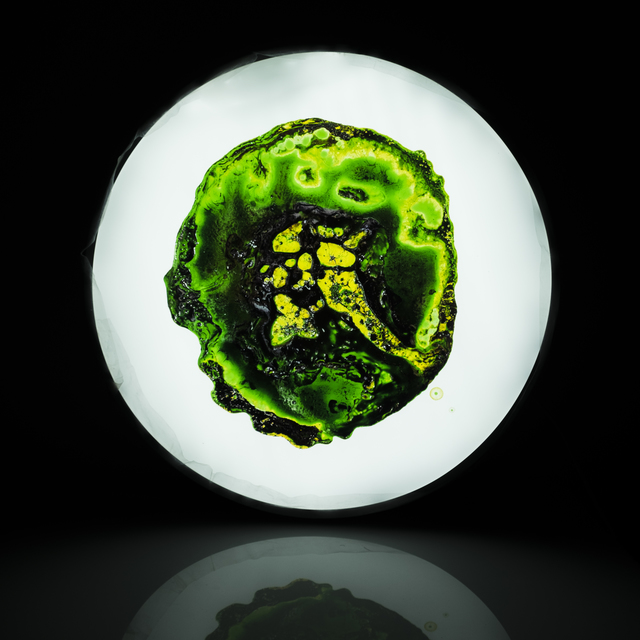 Meaghan Matthews, ‘Green Chakra’, 2019, Elevastor