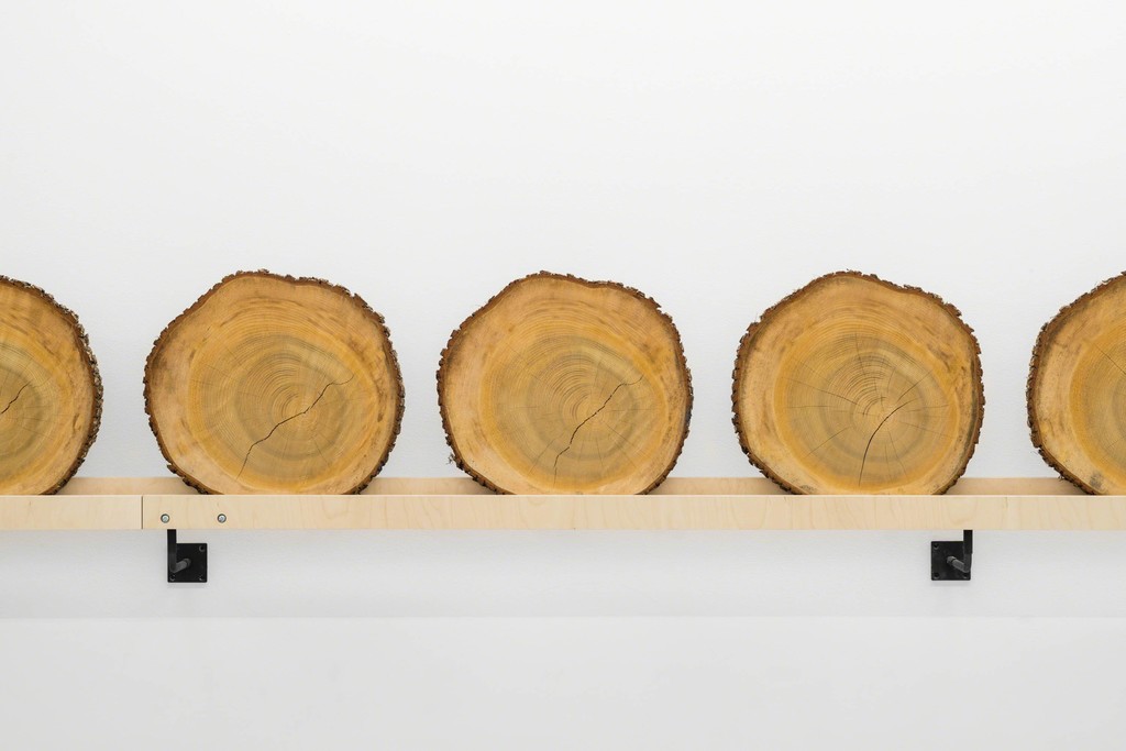 Installation view Xavier Veilhan at Andréhn-Schiptjenko, 2015. Installation view Xavier Veilhan at Andréhn-Schiptjenko, 2015.