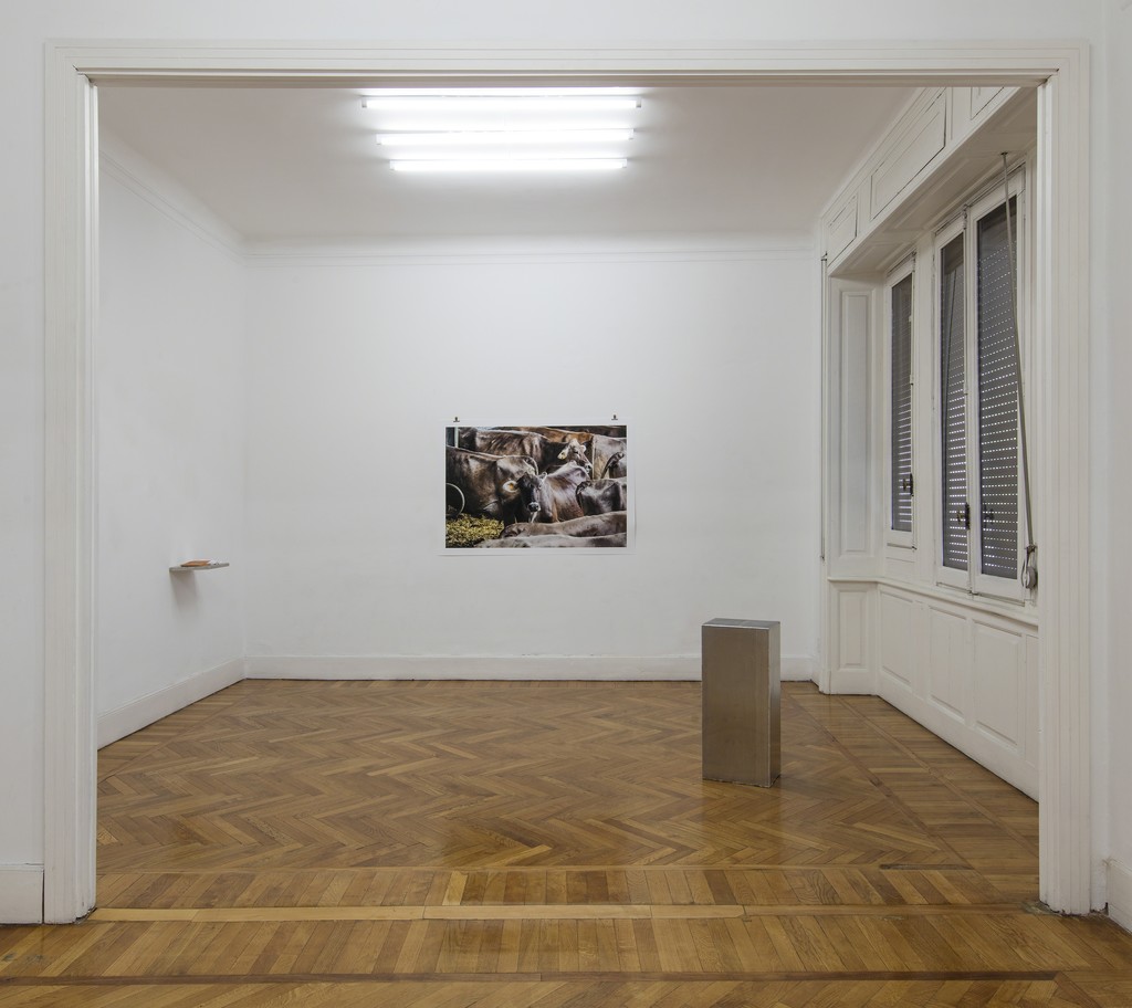 Tiziana Pers, CAPUT CAPITIS I, 2019. Installation view at aA29 Project Room Milano. Photo by Antonio Maniscalco. Tiziana Pers, CAPUT CAPITIS I, 2019. Installation view at aA29 Project Room Milano. Photo by Antonio Maniscalco.