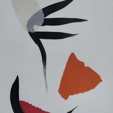 vyom