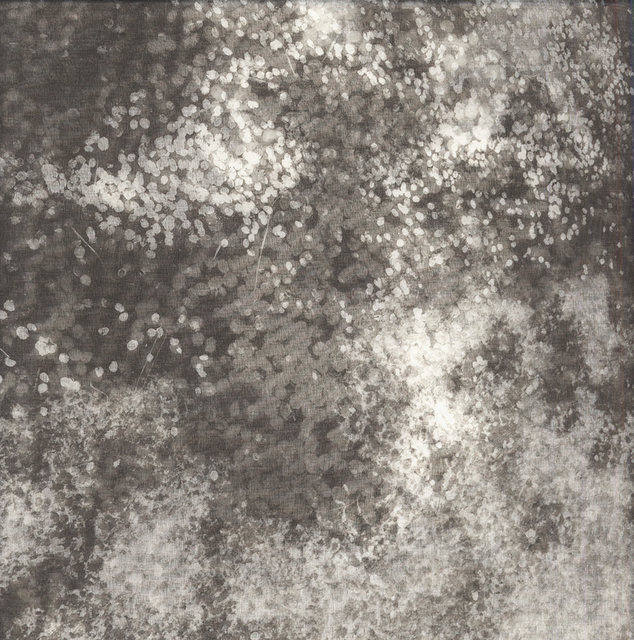 Chaco Terada, ‘Star Dust VI’, 2014, photo-eye Gallery