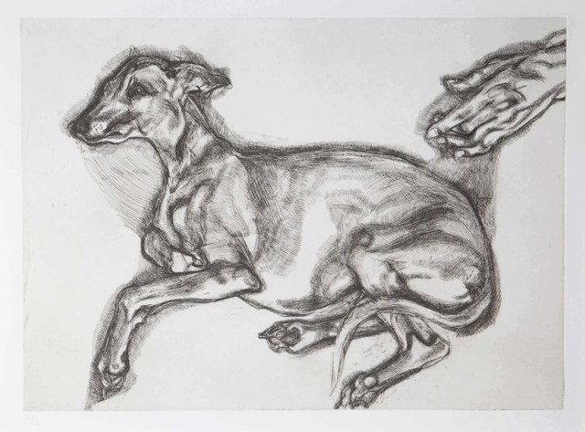 Lucian Freud, ‘Pluto aged Twelve’, 2000, Print, Etching on Somerset White wove paper, Christie's