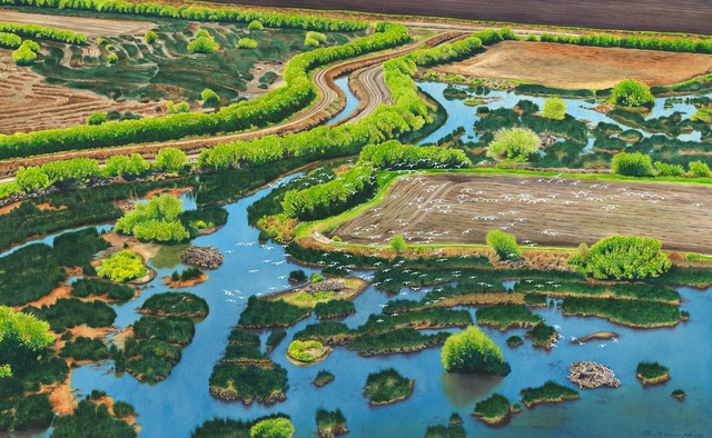 Elaine Bowers, ‘Pacific Flyway’, Sparrow Gallery
