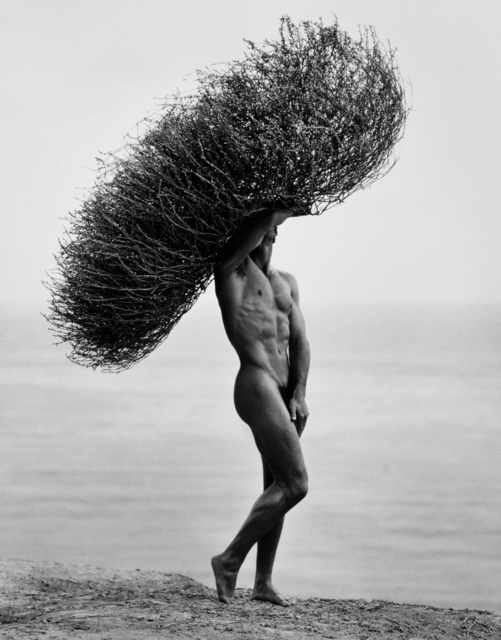 Herb Ritts Male Nude With Tumbleweed Paradise Cove