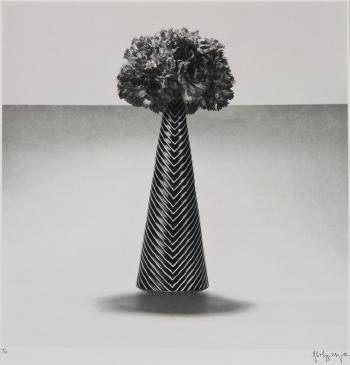Robert Mapplethorpe - Carnations and striped vase