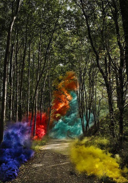 Clara Hallencreutz, ‘Signaling Nature - Forest’, 2017, DTR Modern Galleries