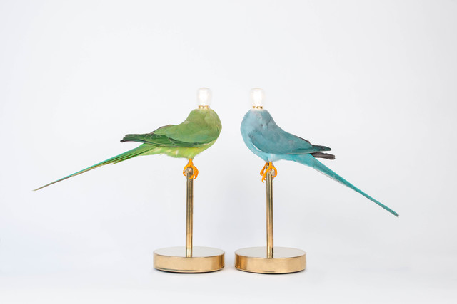 Sebastian Errazuriz, ‘Single Perch Lamp’, 2016, Design/Decorative Art, Taxidermy birds, brass and electrical components, Cristina Grajales Gallery