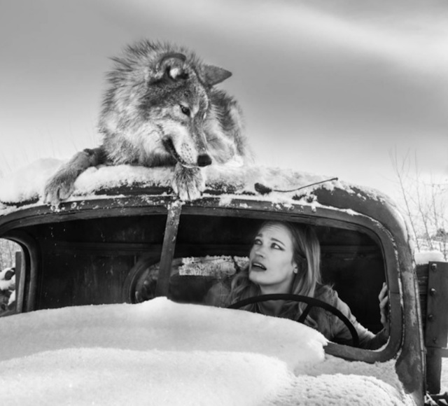 David Yarrow, ‘A Street Car Named Desire 1’, 2018, Photography, Archival Pigment Print, Maddox Gallery