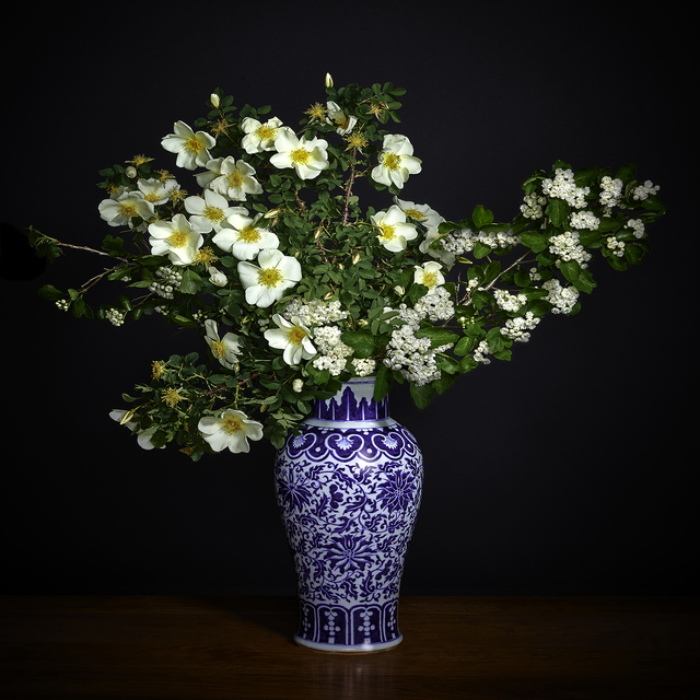 T.M. Glass, ‘White Hawthorne & White Shrub Rose in a Blue and White Chinese Vase’, 2018, Print, Impression d’archive avec pigments / Archival Pigment Print, Galerie de Bellefeuille