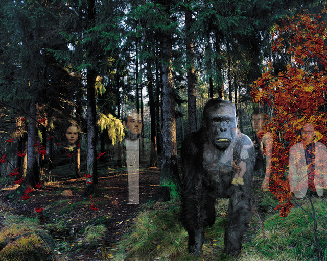 Oleg Kulik, ‘Windows Series : Gorilla’, 2000-2001, Léna & Roselli Gallery
